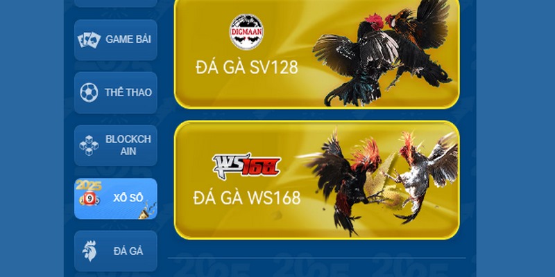 Đá gà WS168 hiện đang là sảnh game cá cược thịnh hành nhất trên thị trường